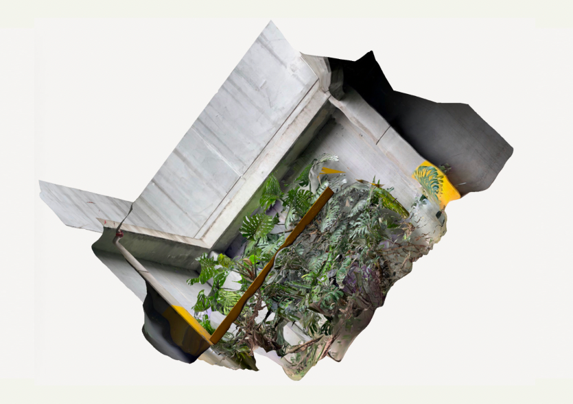 Sin pies ni cabeza: Residuos, naturaleza y percepciones