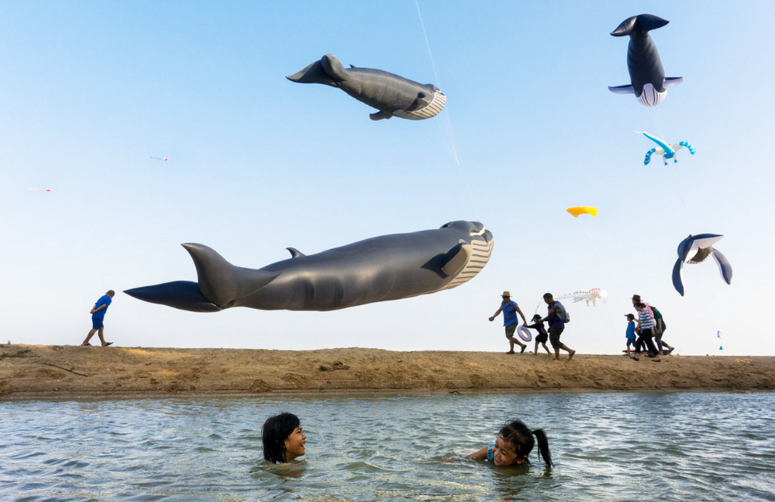 Tavepong: La poesía visual de la fotografía callejera.