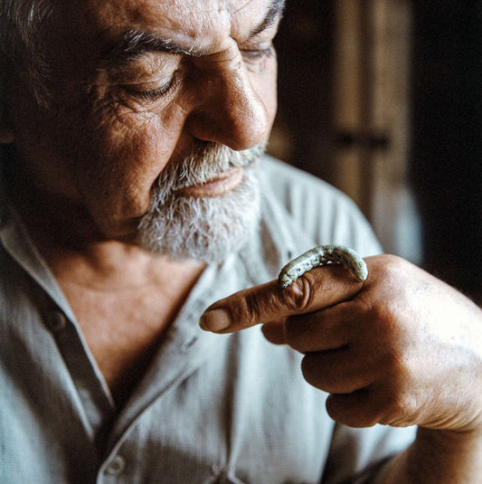 Satyrus Effendi: Memorias de un padre, huellas de una guerra