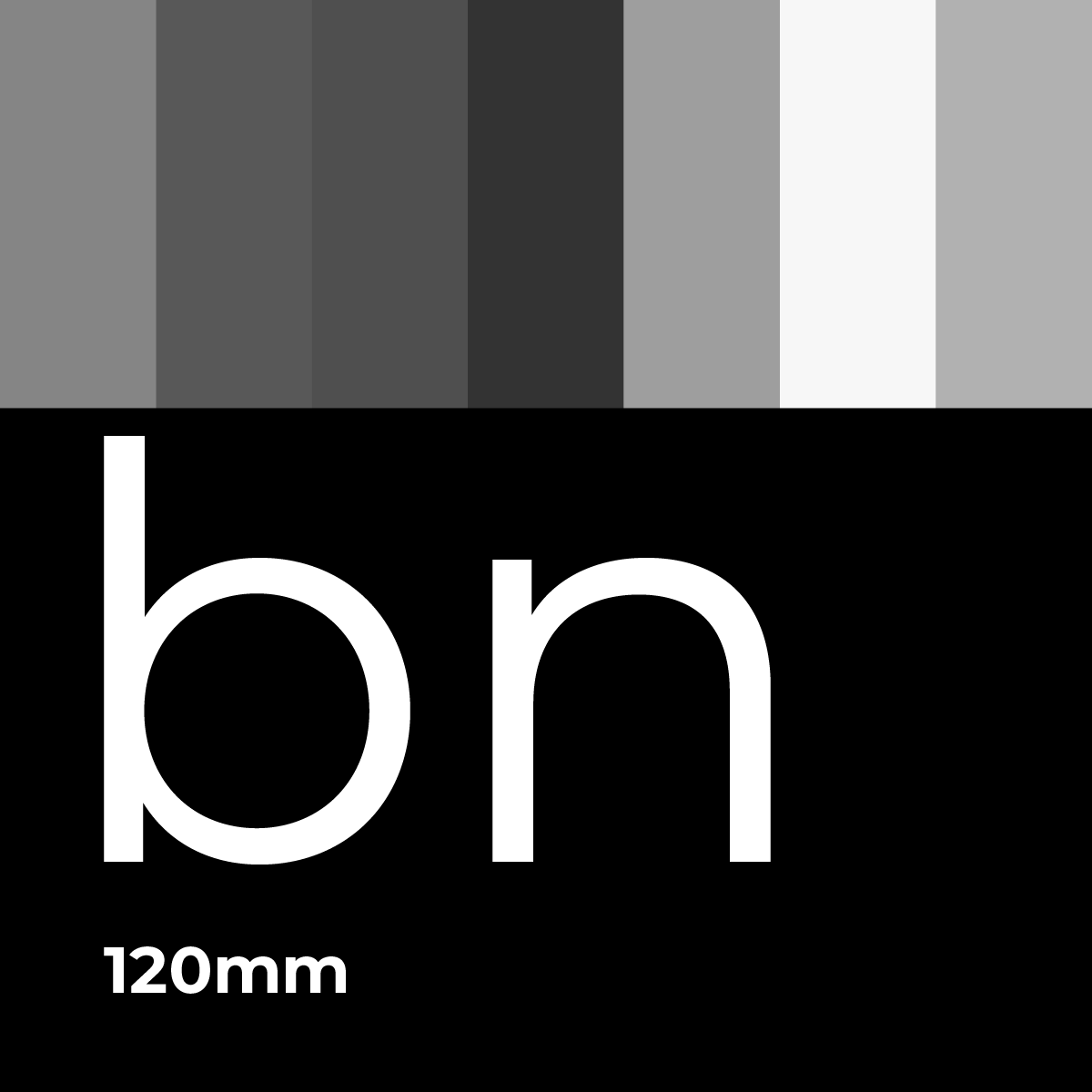 Revelado de Película Blanco & Negro 120mm