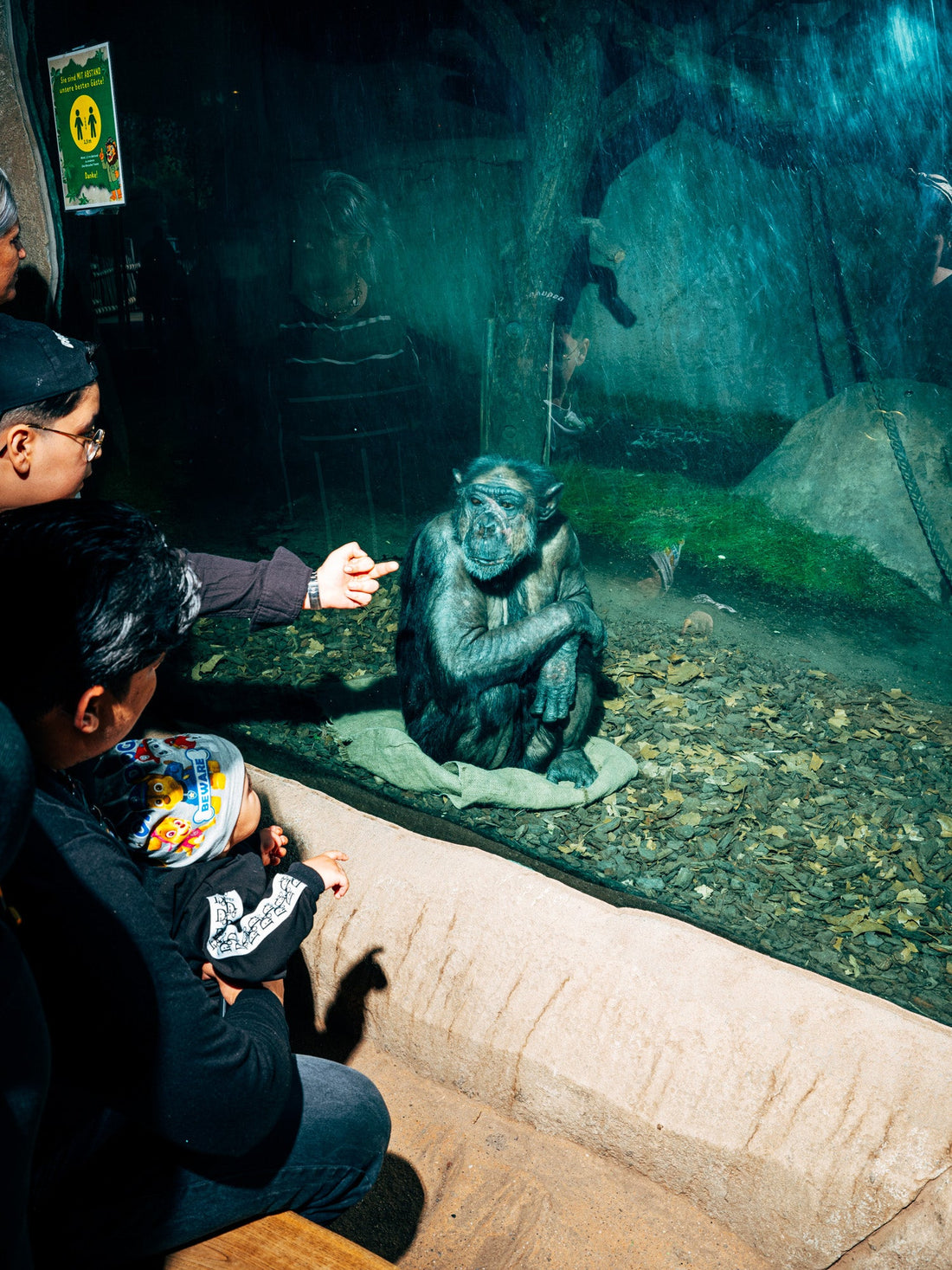 La vida en exhibición
