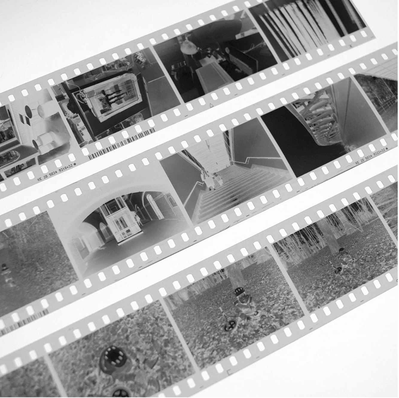 Film Developing: Color and Black & White