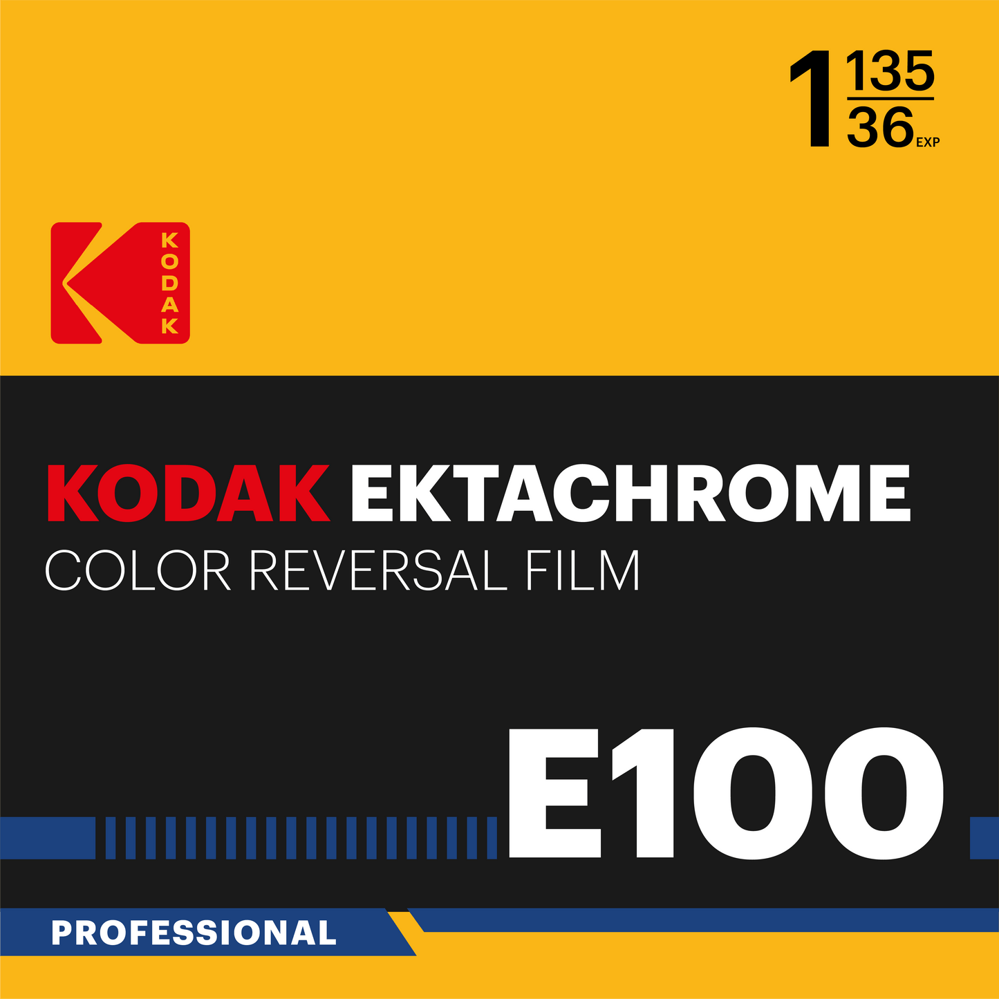 KODAK EKTACHROME E100 | 35mm | 36 exp